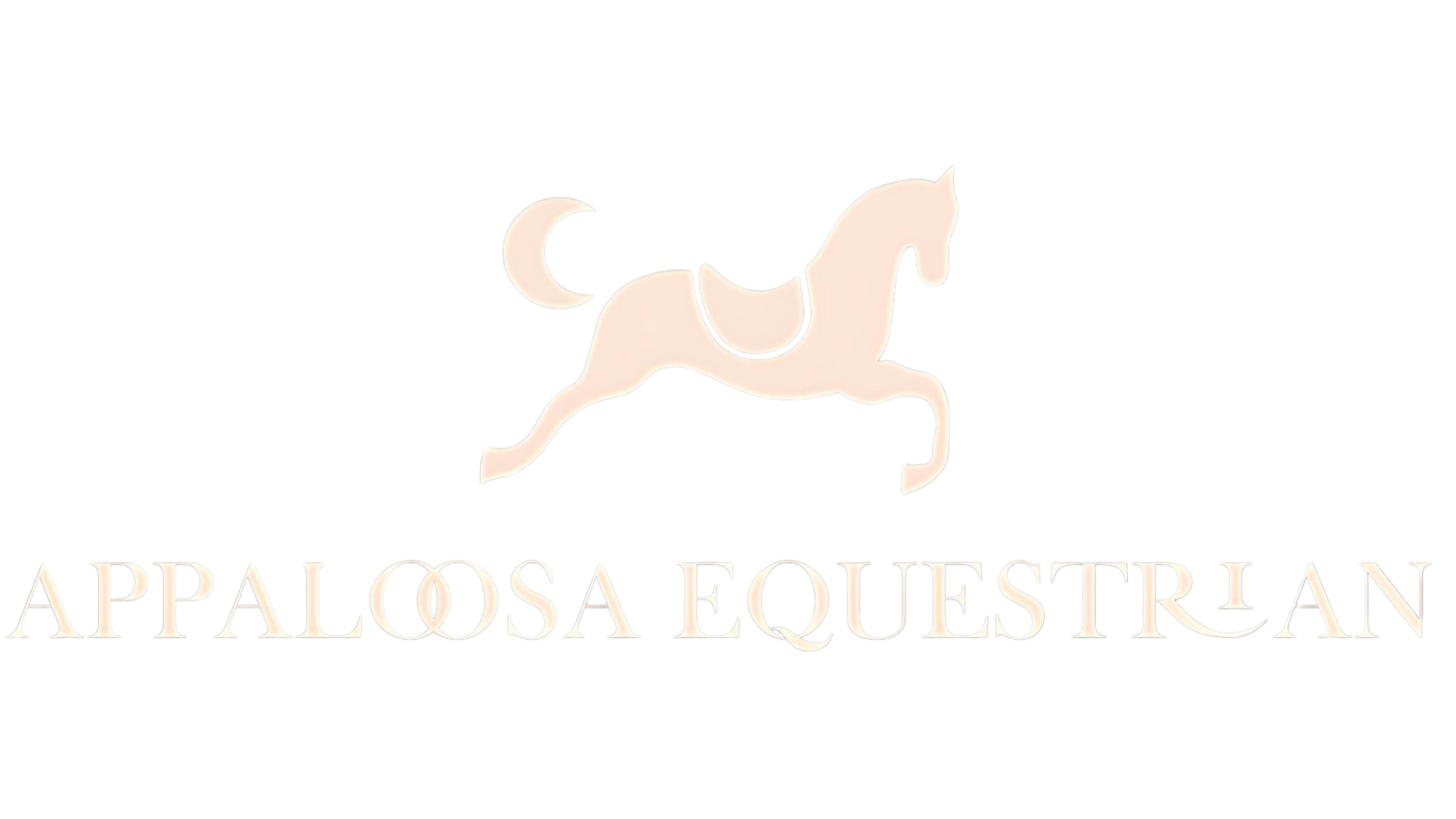 Appaloosa Equestrian